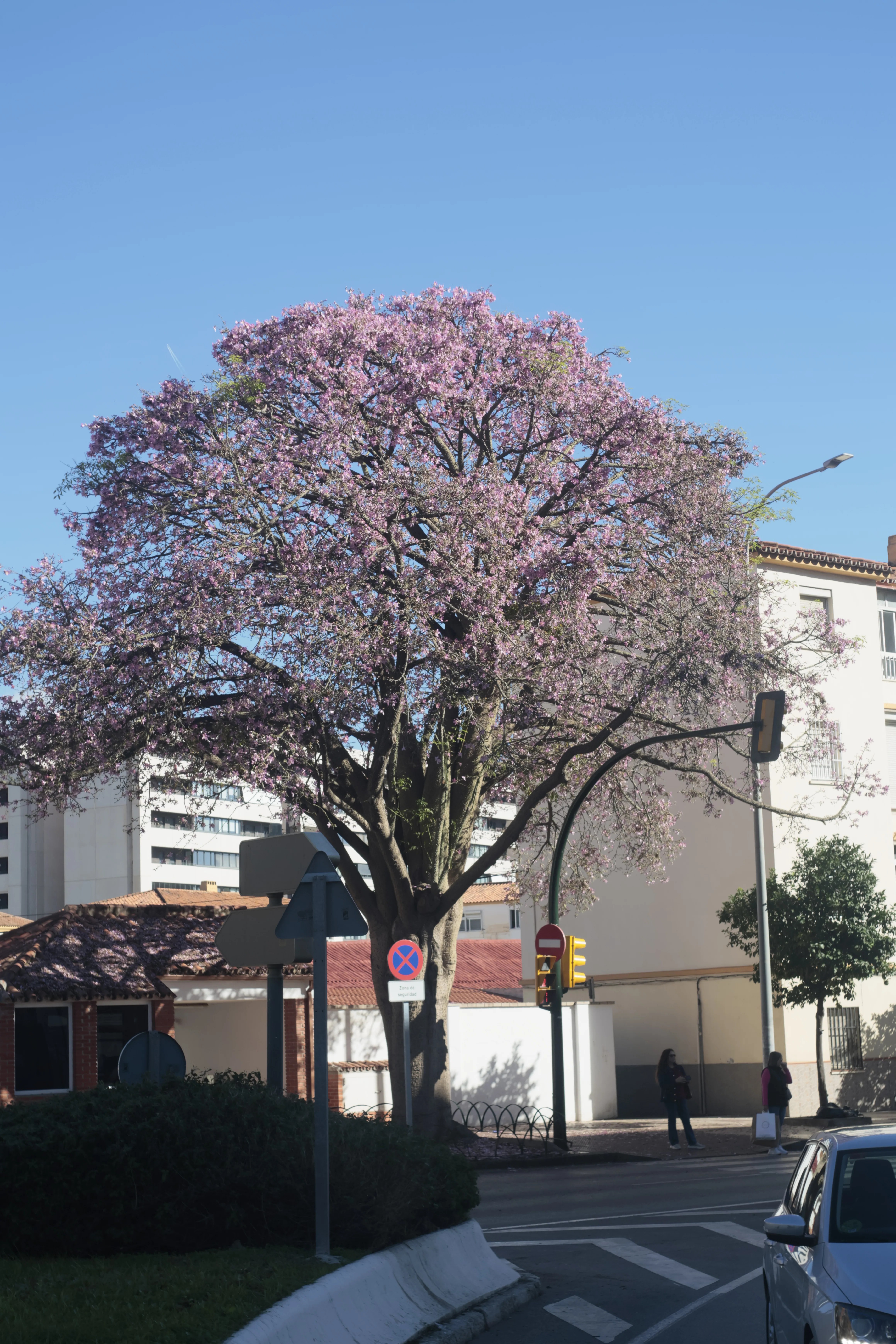 Meyer-Optik Görlitz Primagon 35mm f4.5 (M42) - _I4A0990.jpg